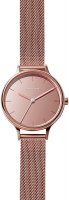 Zegarek damski Skagen Anita SKW2413