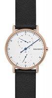 Zegarek męski Skagen Signatur SKW6390