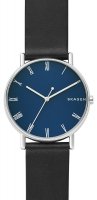 Zegarek męski Skagen Signatur SKW6434
