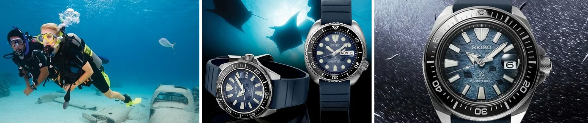 Seiko łączy siły z PADI i PADI AWARE Foundation, aby chronić oceaniczny świat