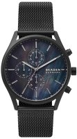 Zegarek męski Skagen Holst SKW6651