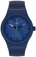 Zegarek męski Swatch Originals SO30N400
