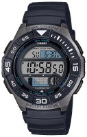 Zegarek męski Casio Klasyczne WS-1100H-1AVEF