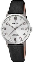 Zegarek męski Festina Titanium F20471-1