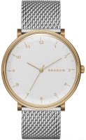 Zegarek męski Skagen Hald SKW6170