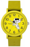 Zegarek dla chłopca Timex Weekender TW2T65900